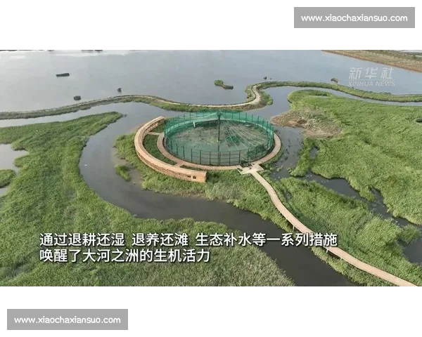 天然草本力量引领健康生活方式的绿色革新与品质未来探索之道