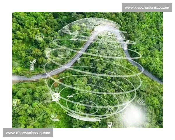 以草皮生态为核心的城市景观建设与可持续发展新路径实践经验