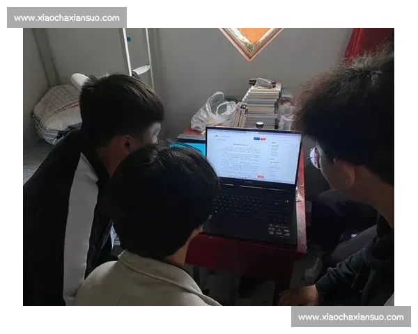 以规则为核心进行系统化分析与应用的全面指南