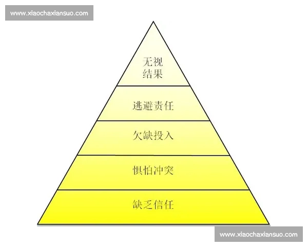 打造高效协作与持续成长的团队发展策略与实践指南